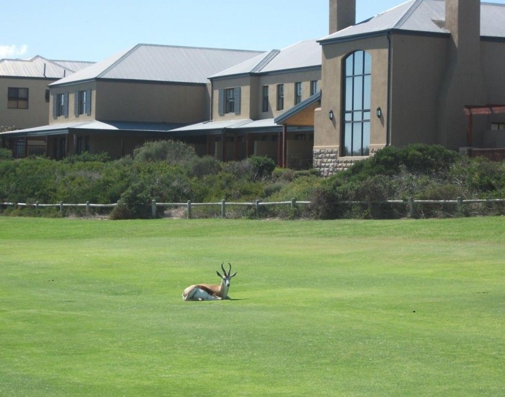 The Lodge At Atlantic Beach Melkbosstrand Kültér fotó